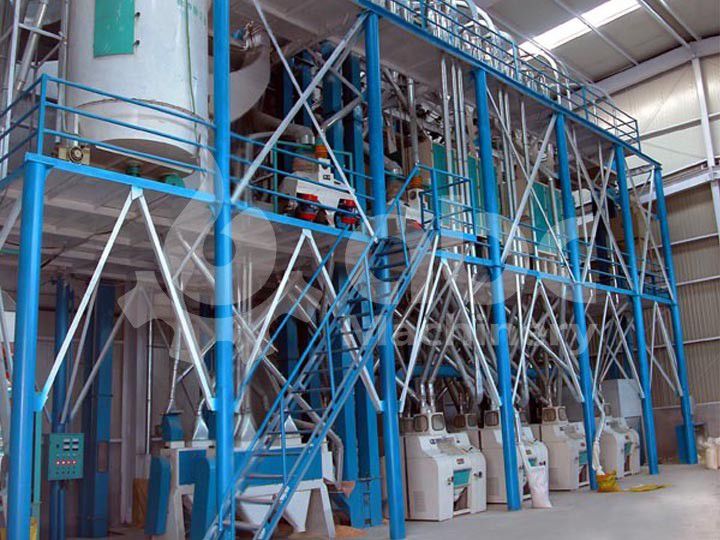 80TPD Wheat Seed Processing Plant in Ethiopia
