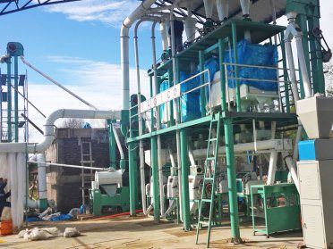 30 TPD wheat flour processing plant in chile