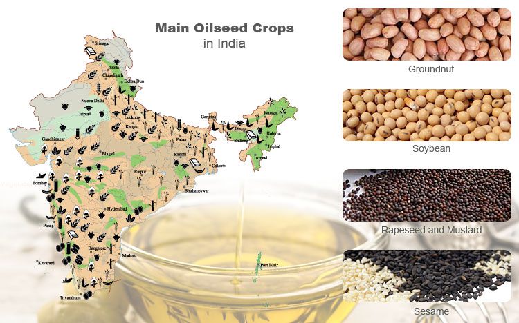 Main oil crops in India