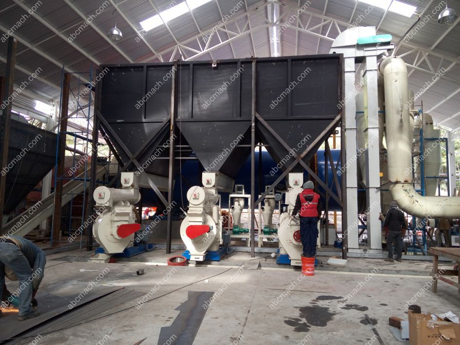 Pine and Eucalyptus Wood Pelletizing Line in Chil