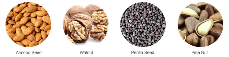 almond seed walnut perilla pine nut oil extraction