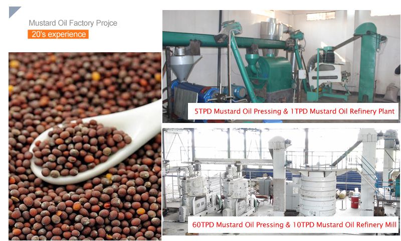 automatic mustard oil mill plant for sales