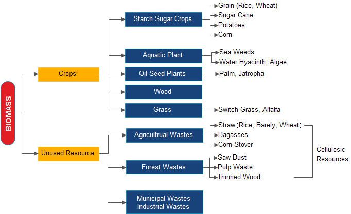 biomass materials for pellet production