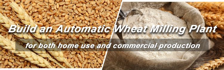 build an automatic wheat milling plant