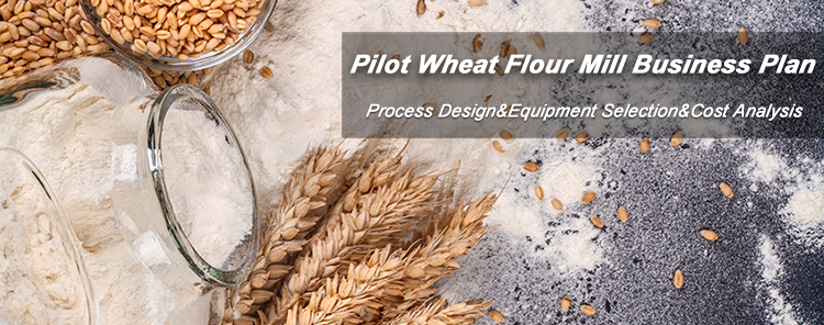 start pilot wheat flour production line business plan