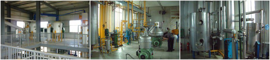 castor oil solvent extraction plant
