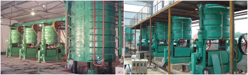 castor seed oil extraction plant