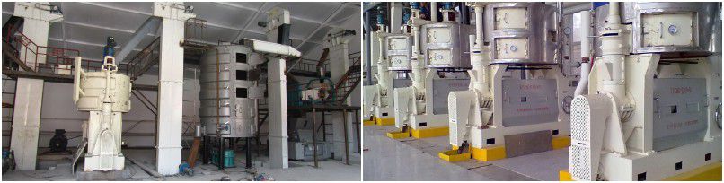complete automatic corn oil extraction plant for making edible / cooking corn germ oil