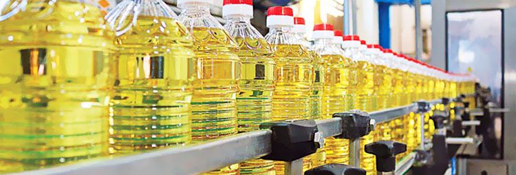 start cooking oil manufacturing factory