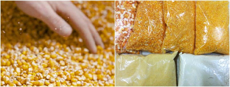 main corn processing products