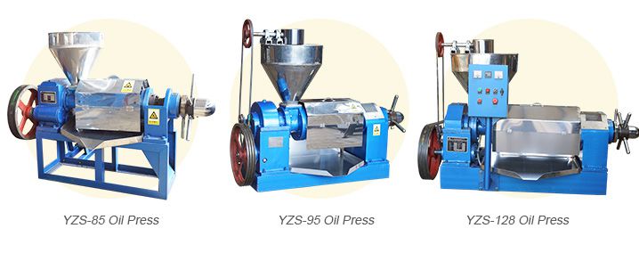 cotton seed oil expeller press for sale