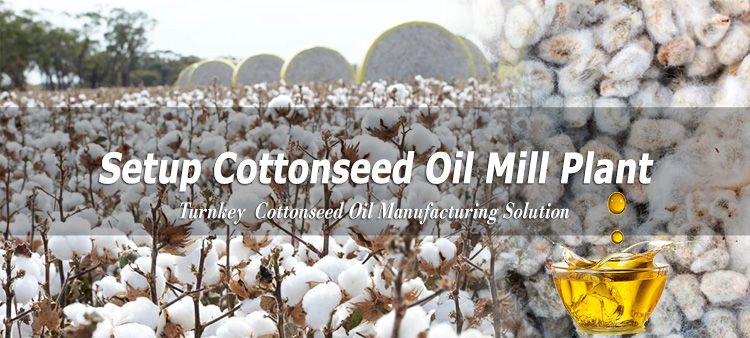 cottonseed oil production plan