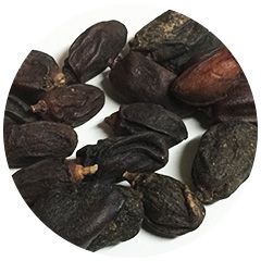dried neem fruits