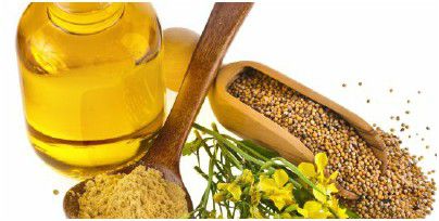 stard edible mustard seed oil business with Our Oil Mill Equipment