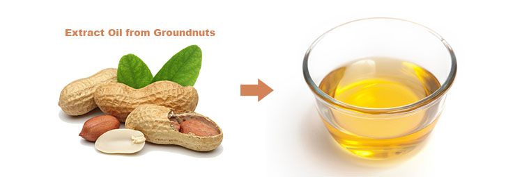 extract oil from groundnuts