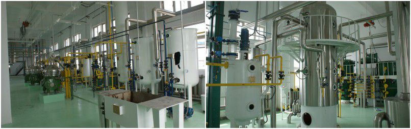 full scale cooking oil refining plant for complete oil milling factory