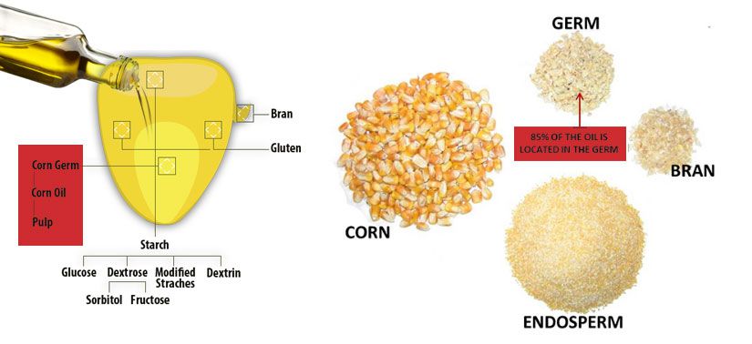how corn oil is made