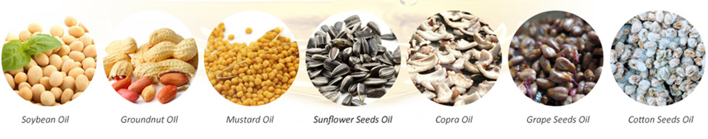 Edible Oil Production Solutions for Various Oil-bearing Seeds
