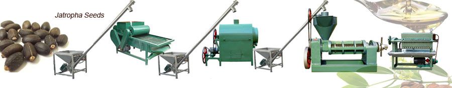 jatropha oil extraction machines for small seed oil processing mill