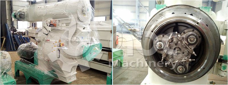 details of the ring die type large wood pellet manfuacturing machine