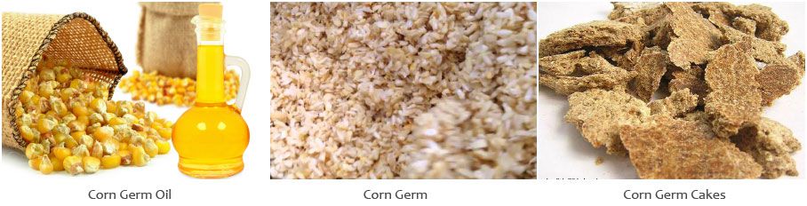 make corn oil from corn germ for edible or cooking usage