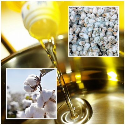 manufacturer edible cottonseed oil by starting a small oil mill