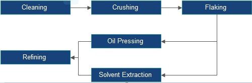 manufacturing process of soybean oil