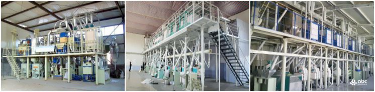 medium to large wheat flour mill factory project plan