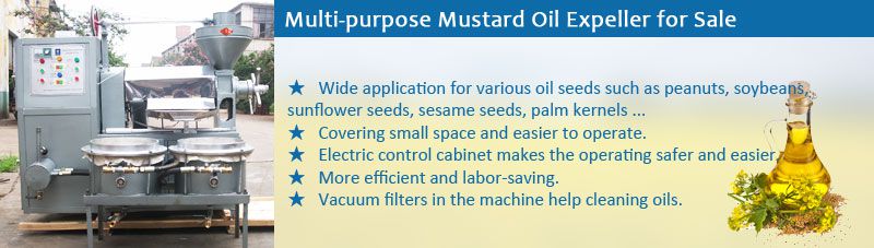 mustard oil expeller machinery for sale- cheap in price