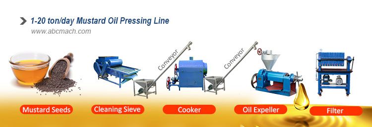 mustard oil mill processing steps