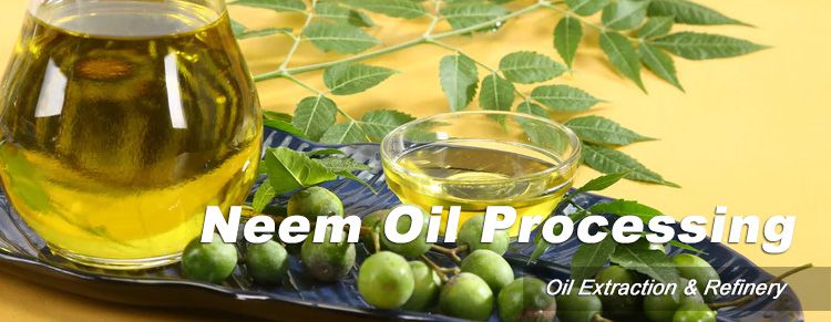 neem oil extraction