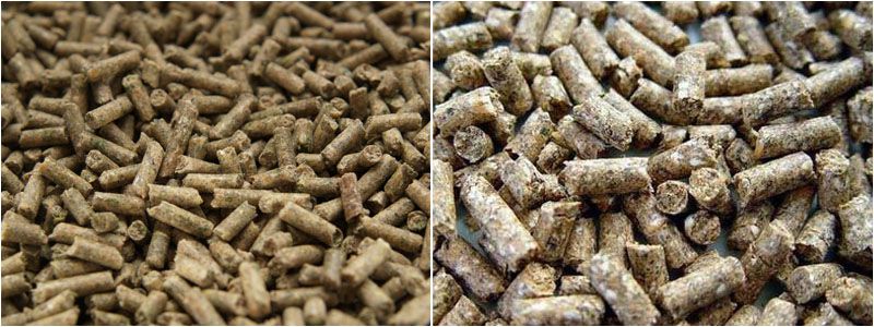 produce small scale oilseed cake / oil meal pellets for cattle cow