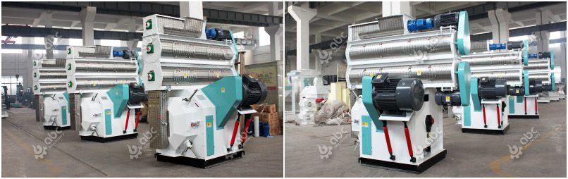 ring die livestock feed pellet equipment for manufacutring cattle feed