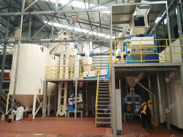 1ton/h Toasted Sesame Oil Mill Plant in Thailand