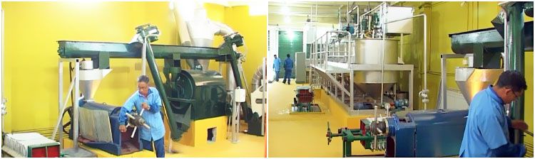 small complete cooking oil production plant for extract corn oil