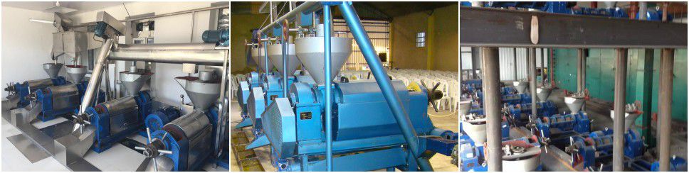 small mustard oil processing line for vegetable oil mechanical pressing production 
