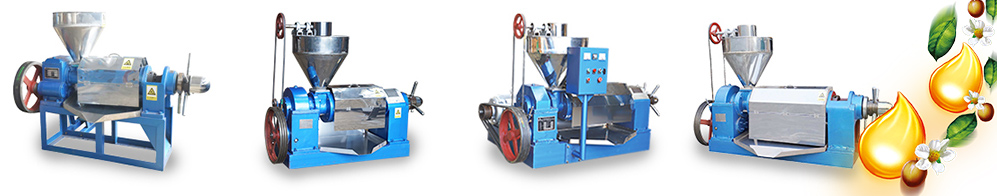Small Machine, Big Impact: Your Own Oil Mill Factory