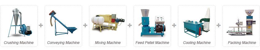 poultry and cattle feed pellet plant for small scale production line