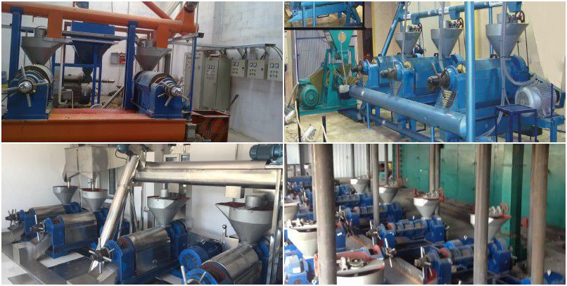 customized business plan for building small seed oil processing factory