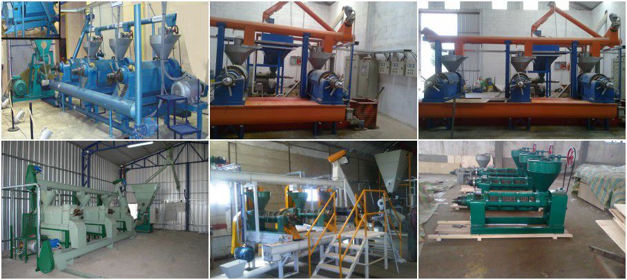 small soybean oil manufacturing plant