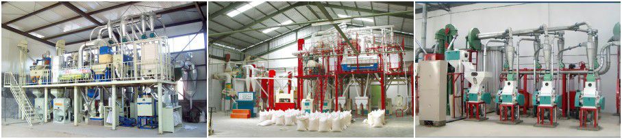 small wheat flour milling projects