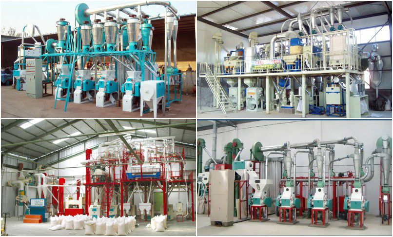 small scale wheat flour processing plant for mini flour mill company