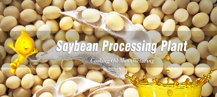 start soybean processing business