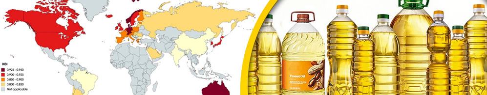 From Local to Global: Starting Cooking Oil Business Abroad