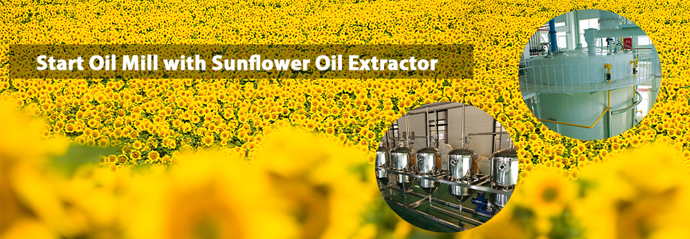 sunflower oil extractor for sale