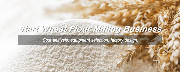 how to start wheat flour mill business