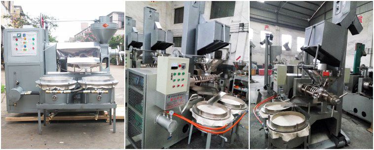 sunflower oil press with filter for small oil producing plant