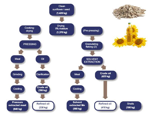 sunflower oil pressing process