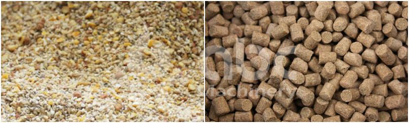 traditional feed vs pellet feed