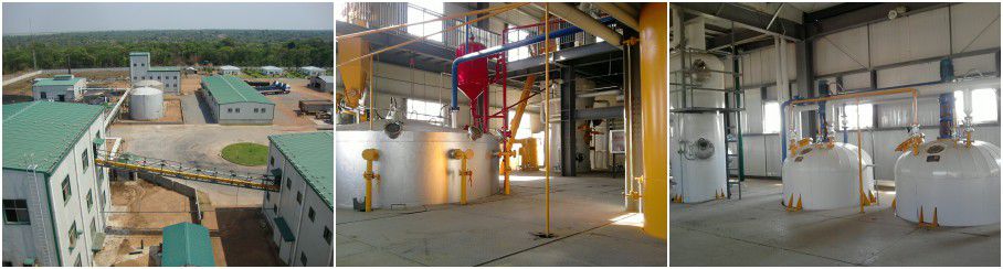 vegetable oil extraction factory